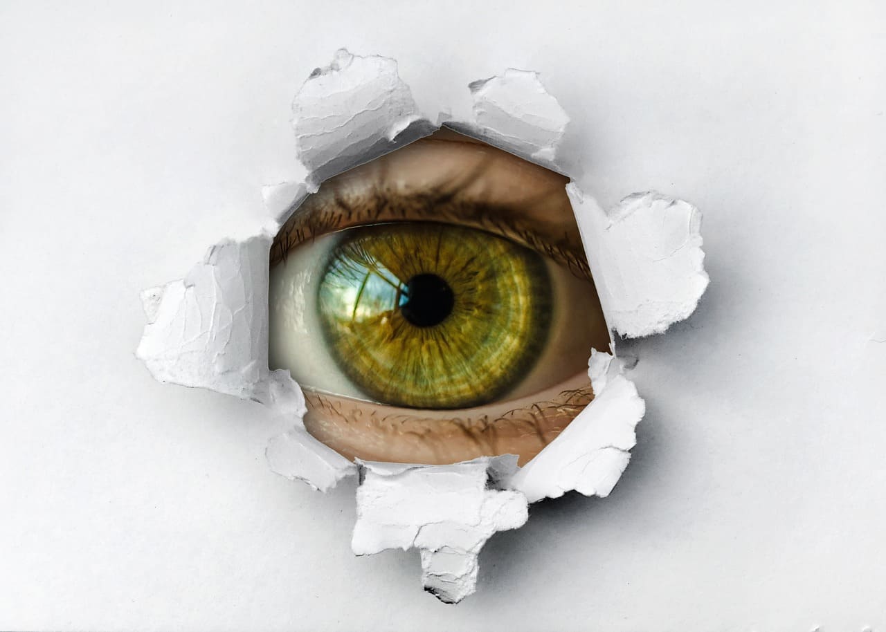 Security & Surveillance
